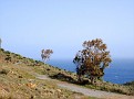 Mirador de las Amatistas
