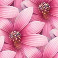 Pink 3