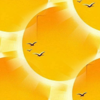 Orange6