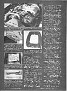 Mustang Monthly Feb 1999 Cop Car Mustangs 2