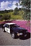 Police Cars in Action 99 page 5