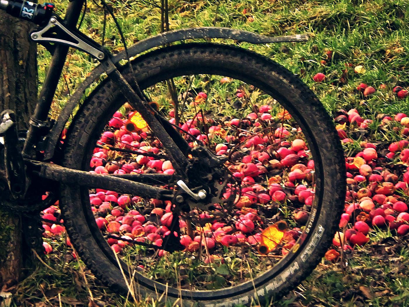 ... gefallene Vitamine