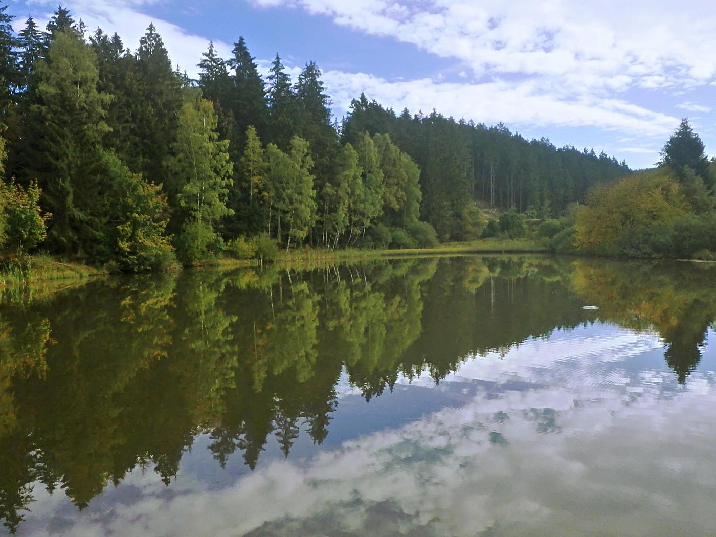 Unterer Flößteich