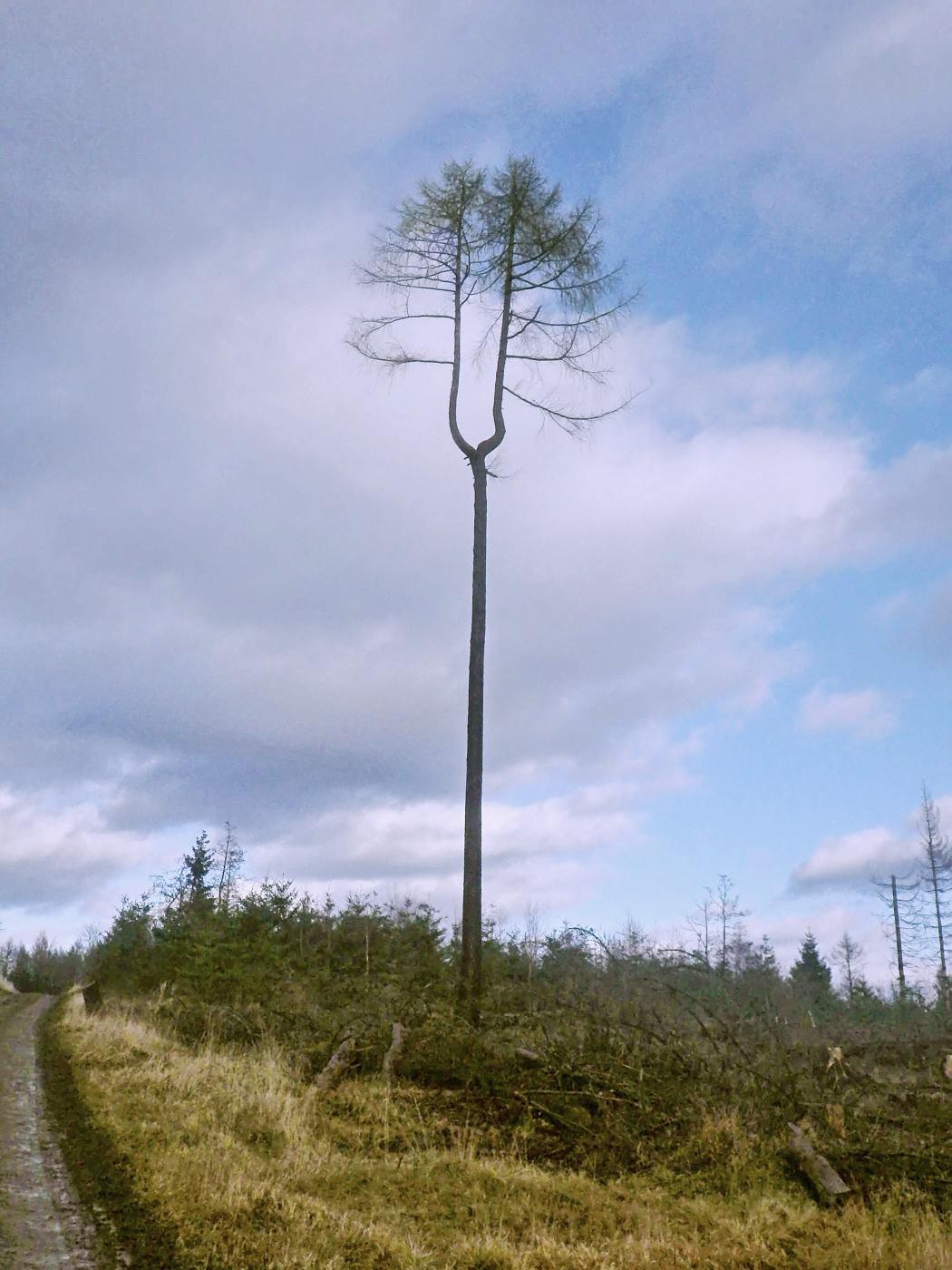 Winterberg