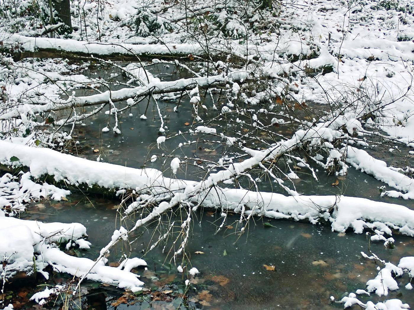 An der Waldquelle