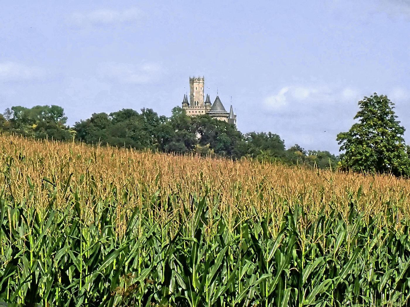 Schloss Marienburg