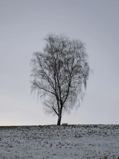 Oberer Grehberg