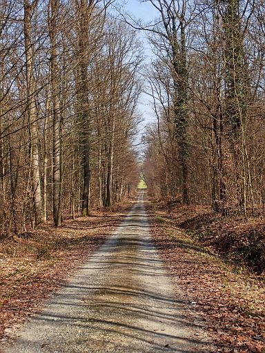 Hinunter ins Forellental