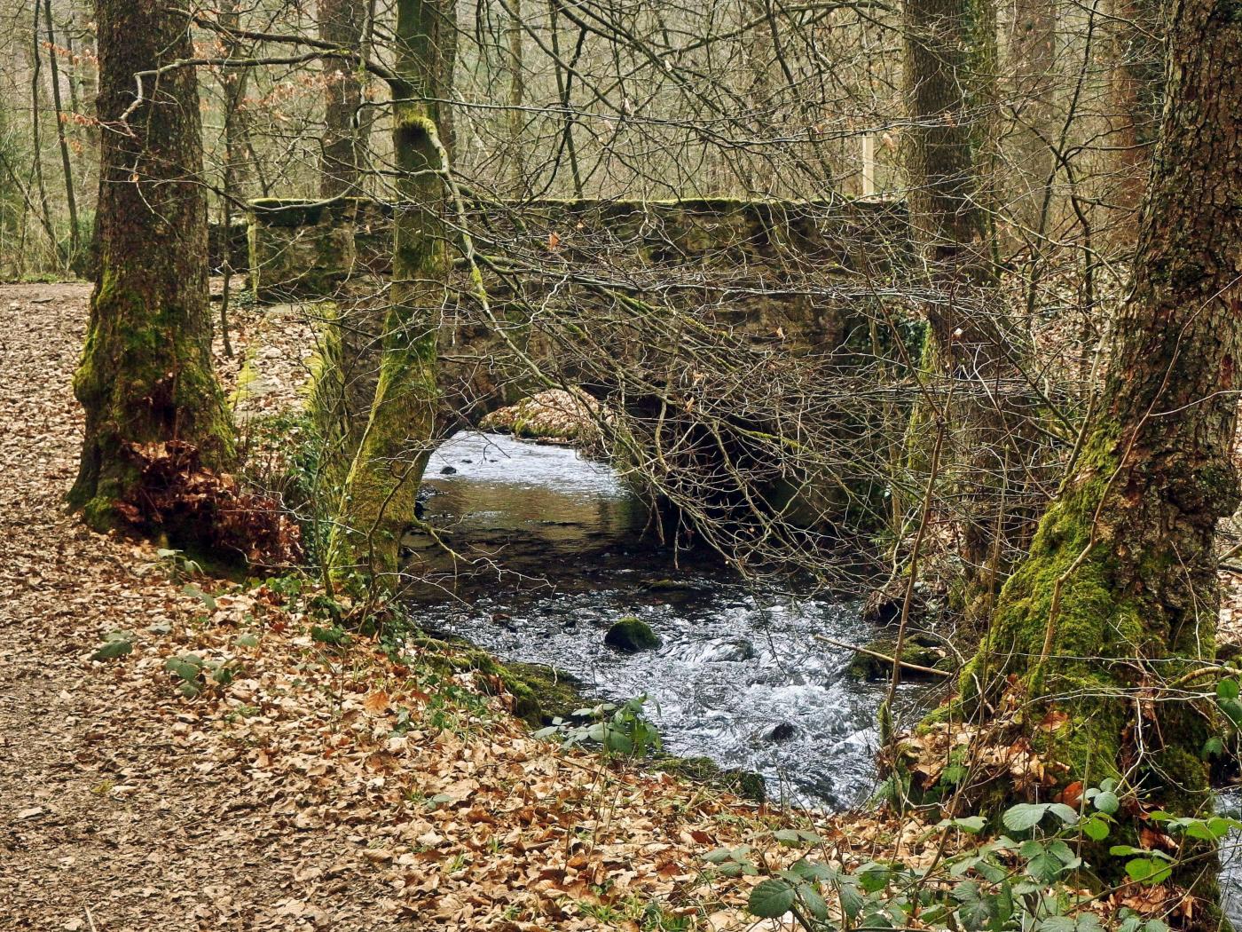 Brücke über den Silberbach