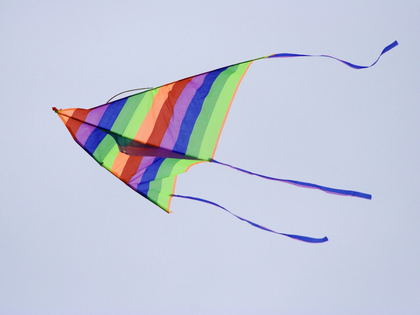 fly a kite